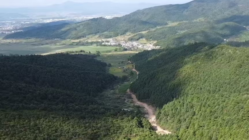 兩山答卷 | 從“廢渣山”到“綠水青山”，中機國際啟動汝城生態再造