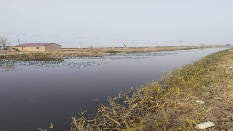 水產(chǎn)養(yǎng)殖尾水治理，助力漁業(yè)綠色生態(tài)高質量發(fā)展